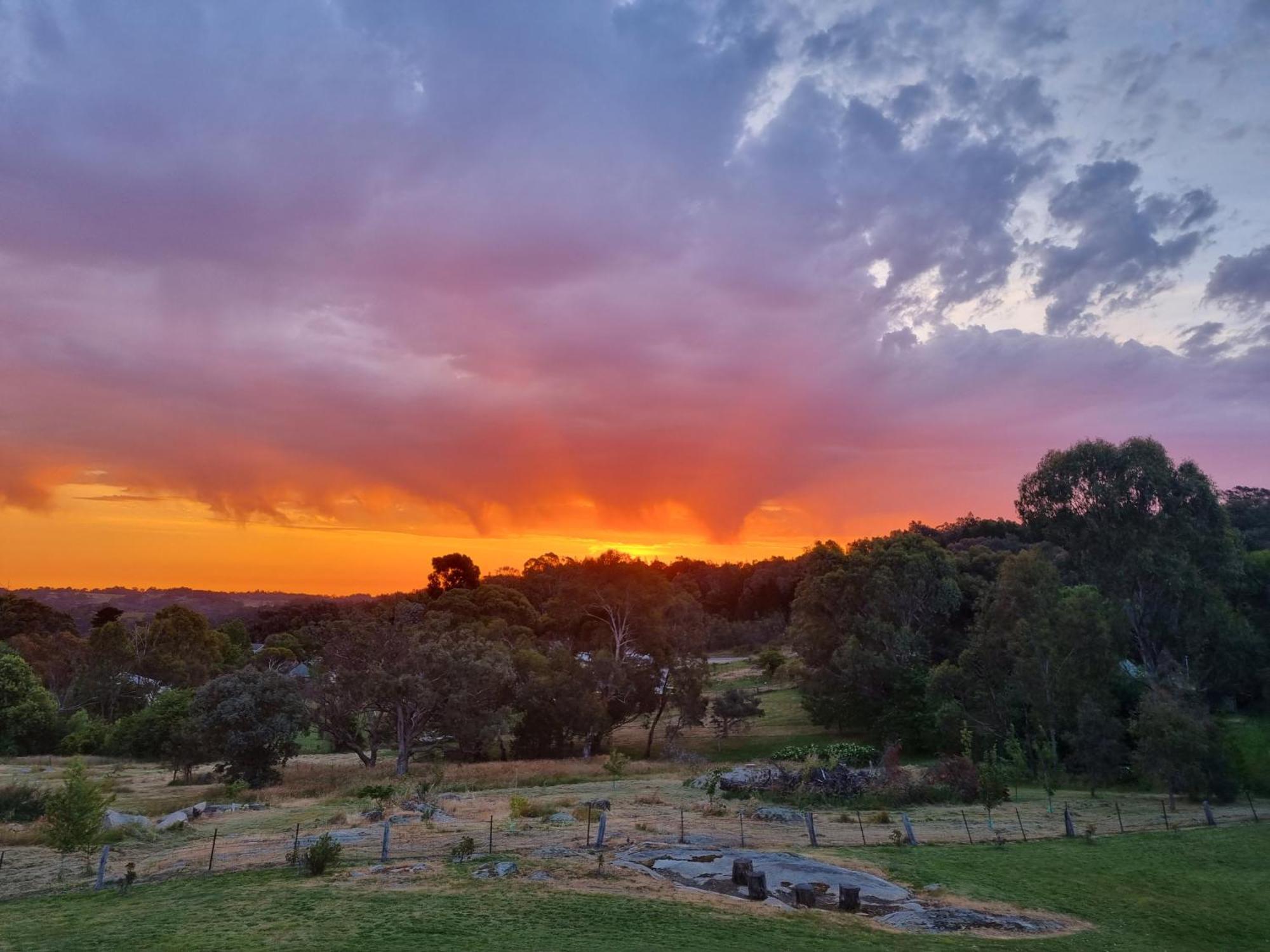 Golden Heritage Accommodation Beechworth Exteriör bild